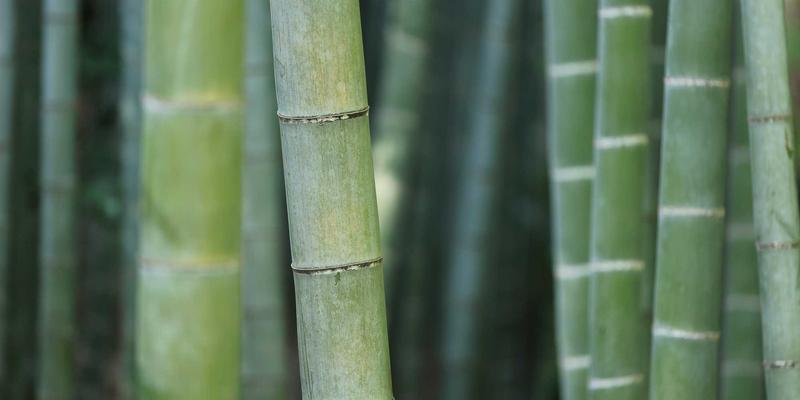 企业如何高效推进资产评估工作